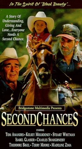 Poster of Second Chances